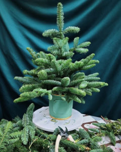 聖誕樹工作坊 XMAS TREE WORKSHOP