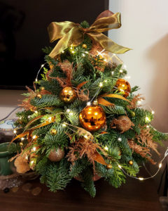 貴族松聖誕樹 NOBLE FIR XMAS TREE