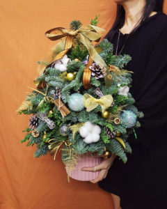 貴族松聖誕樹 NOBLE FIR XMAS TREE