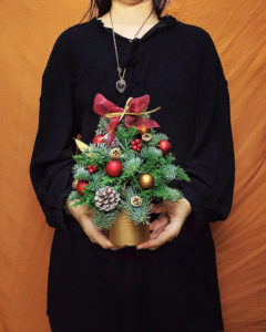 貴族松聖誕樹 NOBLE FIR XMAS TREE