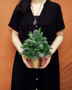 聖誕樹工作坊 XMAS TREE WORKSHOP