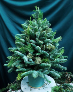 聖誕樹工作坊 XMAS TREE WORKSHOP