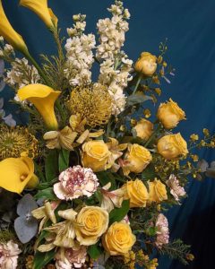 IMG_20230318_192407-01