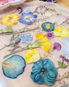 IMG_20230419_181921-01