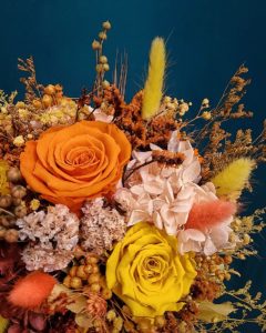 IMG_20230428_222501-01