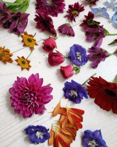 押花班 Pressed Flower Class