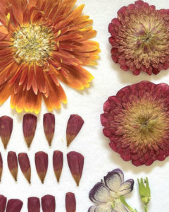 押花班 Pressed Flower Class