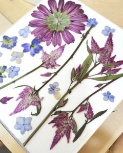 押花班 Pressed Flower Class