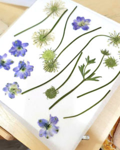 押花班 Pressed Flower Class