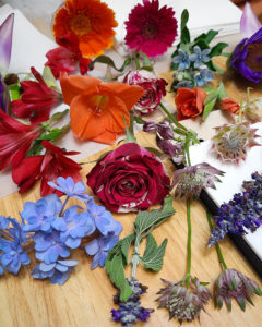 押花班 Pressed Flower Class