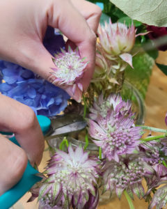 押花班 Pressed Flower Class