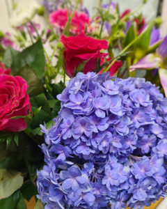 押花班 Pressed Flower Class