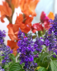 押花班 Pressed Flower Class