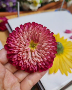 押花班 Pressed Flower Class