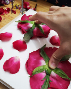 押花班 Pressed Flower Class