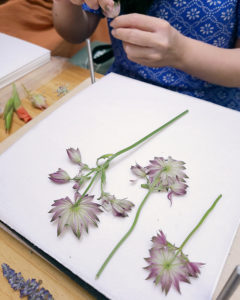 押花班 Pressed Flower Class