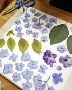 押花班 Pressed Flower Class