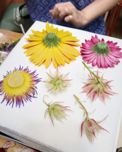 押花班 Pressed Flower Class