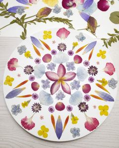 押花曼陀羅 Pressed Flower Mandala