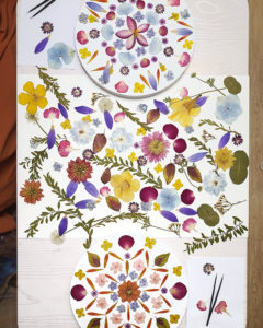 押花曼陀羅 Pressed Flower Mandala